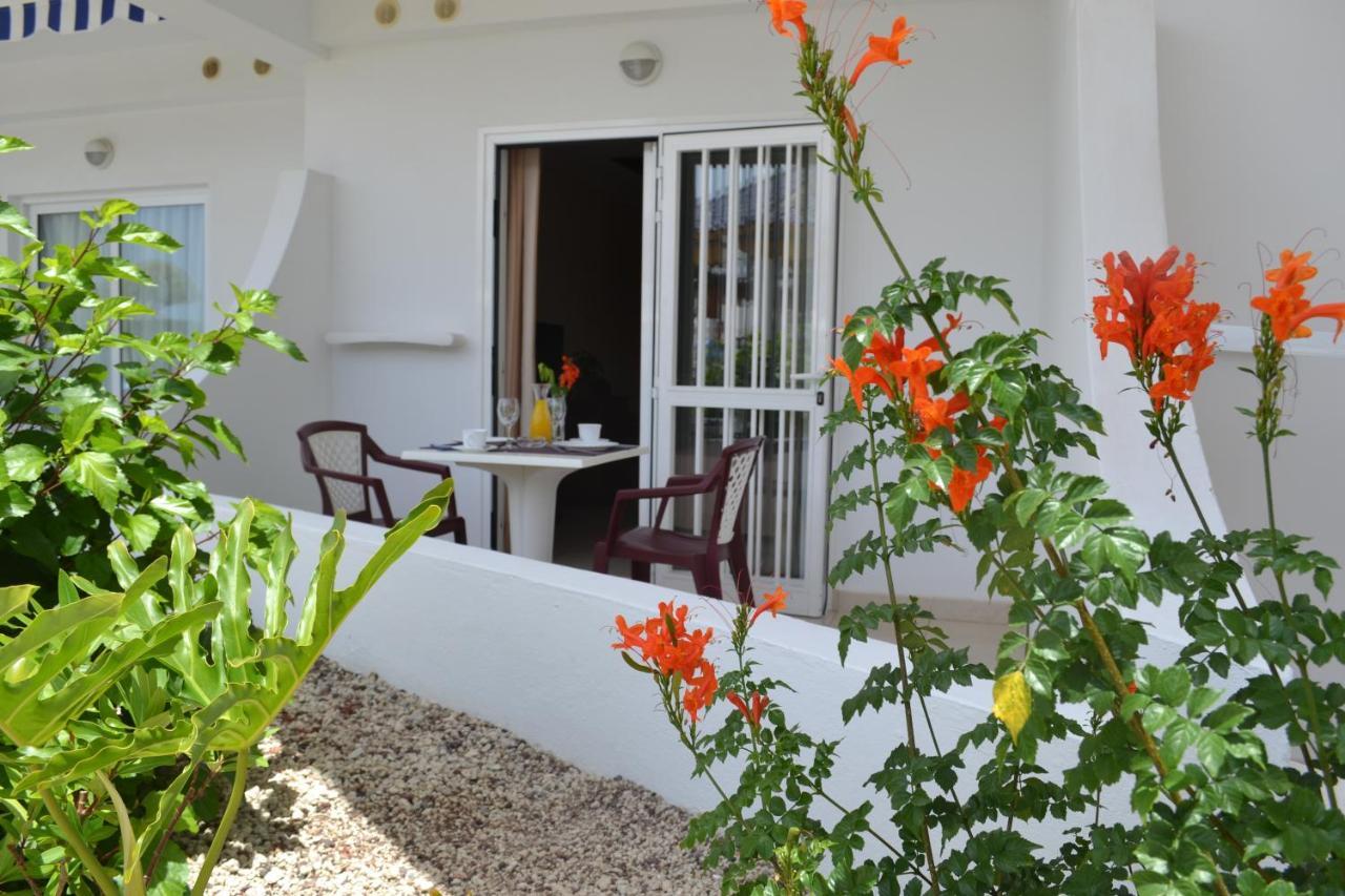 Studio Terrace