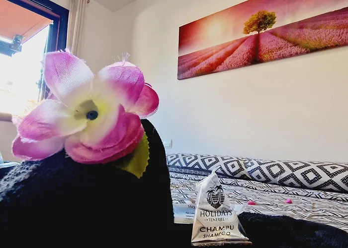 Paraiso 2 Bedroom Terrace Wifi Free